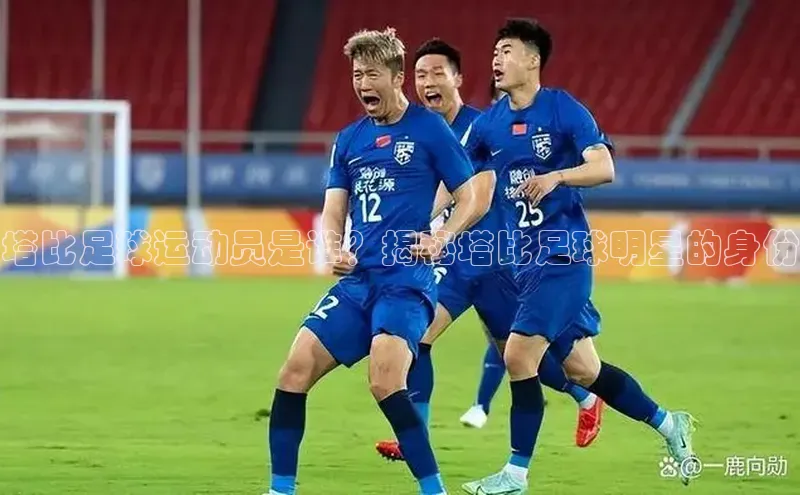 恒盛登录视觉中国塔比足球运动员是谁？揭秘塔比足球明星的身份