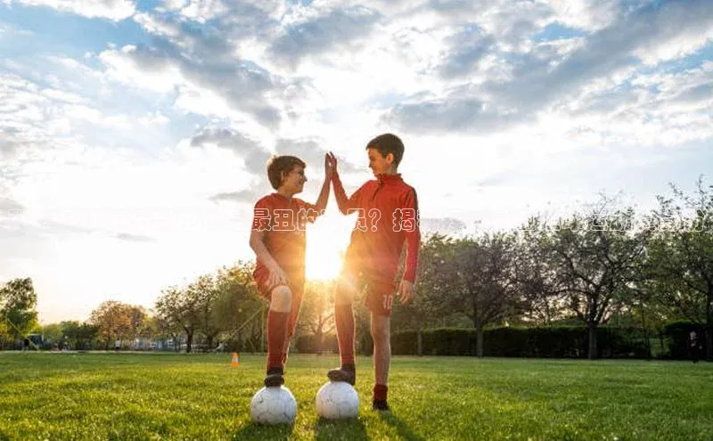 恒盛平台登录巴美列捷福拜仁足球俱乐部中谁是最丑的球员？揭秘拜仁最丑足球运动员身份