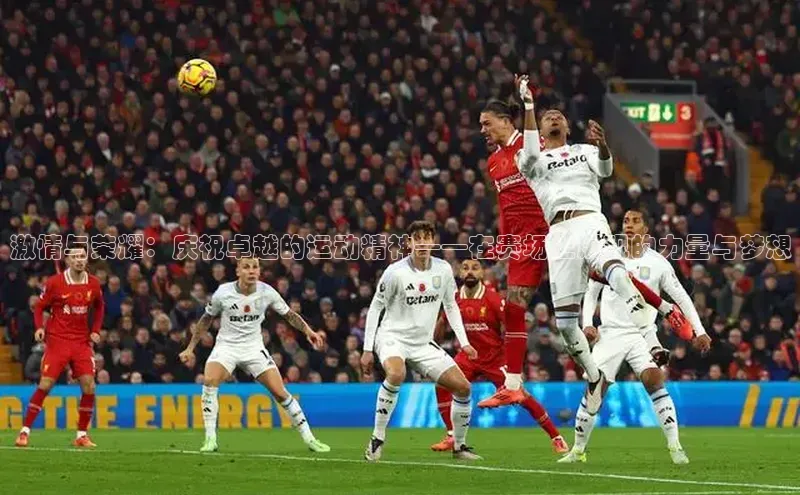 恒盛娱乐官网荣信文化激情与荣耀：庆祝卓越的运动精神——在赛场上展现的力量与梦想