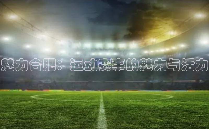 恒盛平台登录入口网页版百度游戏魅力合肥：运动赛事的魅力与活力