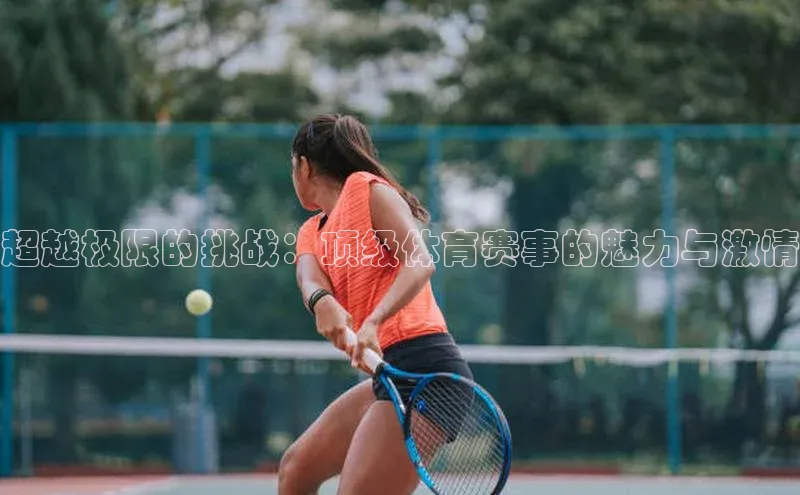 恒盛娱乐百度游戏开放平台超越极限的挑战：顶级体育赛事的魅力与激情