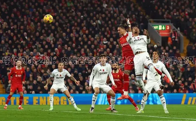 呼伦贝尔之巅：内蒙古呼和浩特地区的运动赛事盛况