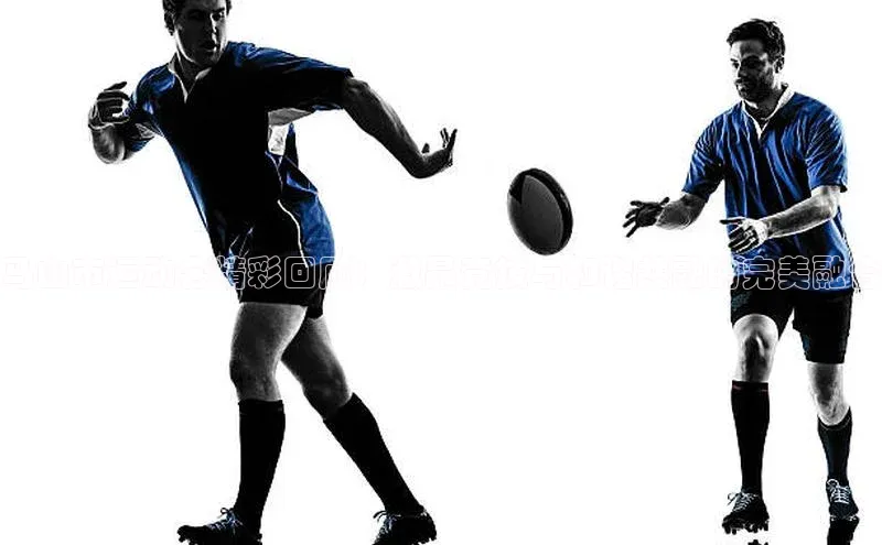 马山市运动会精彩回顾：激昂竞技与和谐共融的完美融合