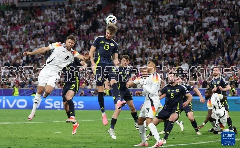 英语中描述观看体育比赛的方式