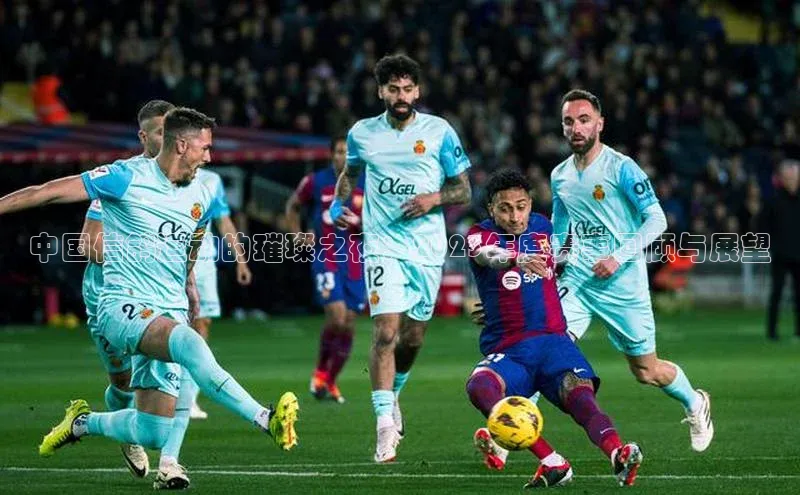 中国信鸽运动的璀璨之夜：2023年度赛事回顾与展望