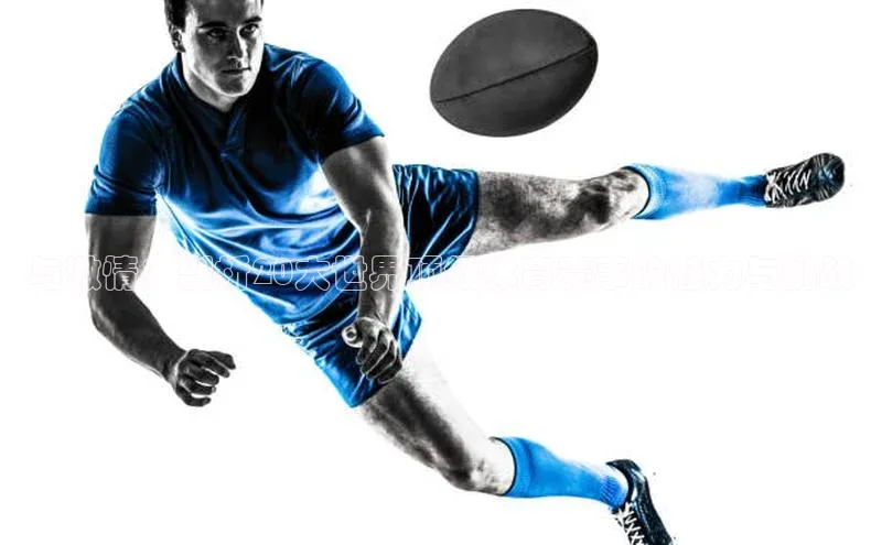 恒盛平台登录入口网站