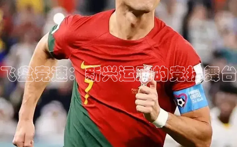 飞盘竞速：新兴运动的竞技舞台