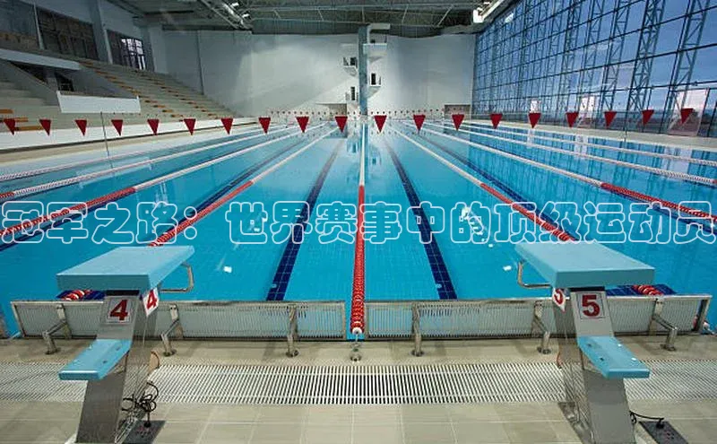 冠军之路：世界赛事中的顶级运动员