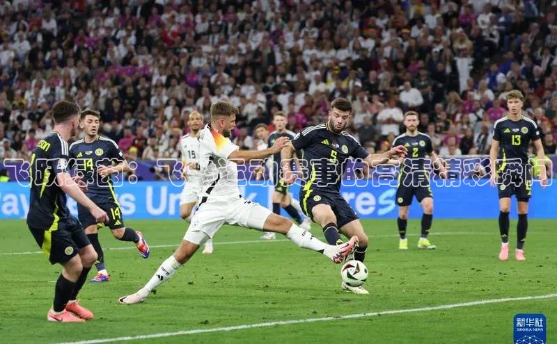 飞跃绿茵：飞盘运动赛事的高清精彩瞬间