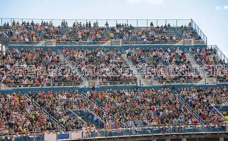 十四运：推动体育发展与全民健康的新引擎